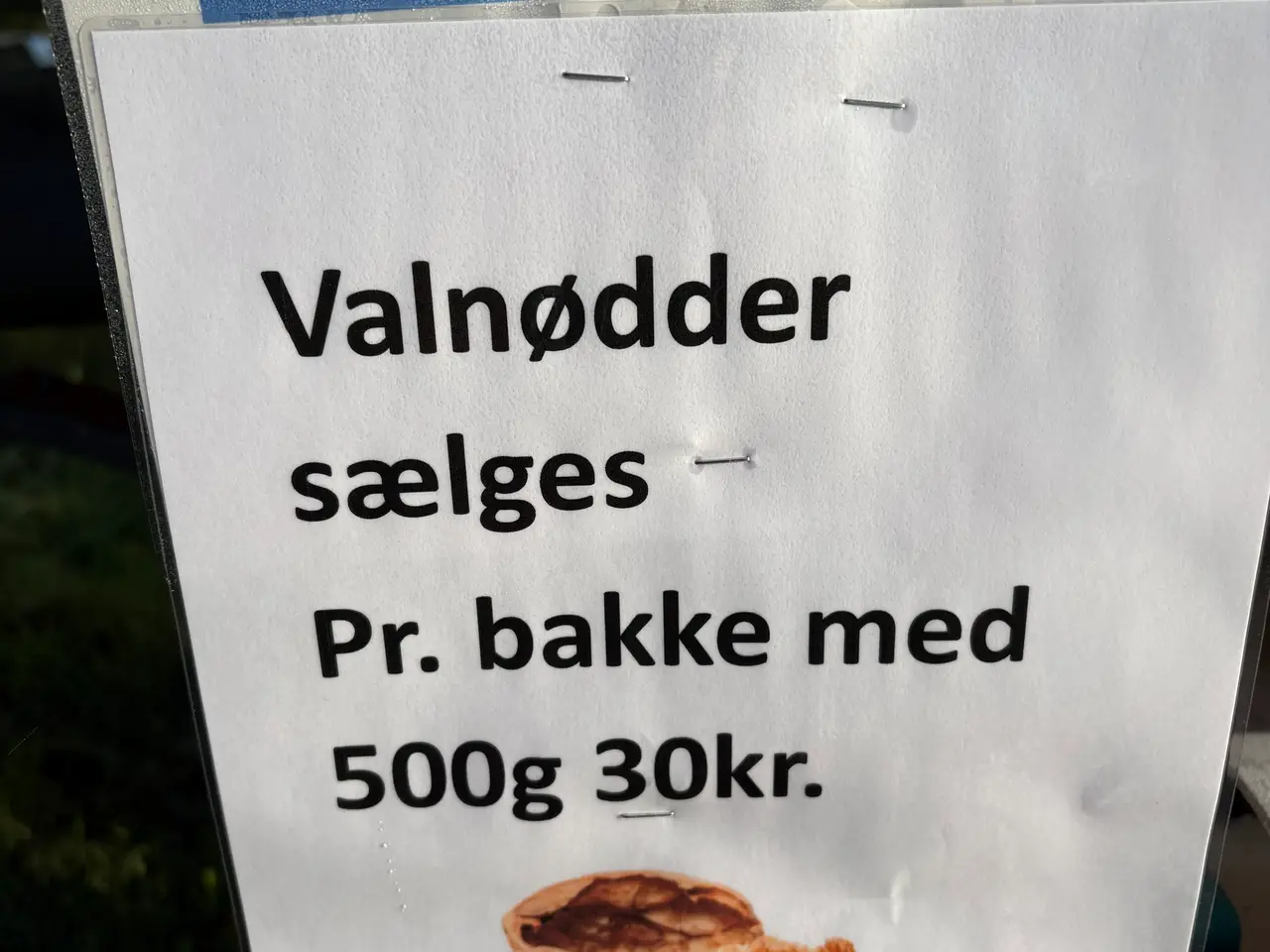 Billede 1 - Valdnødder sælges