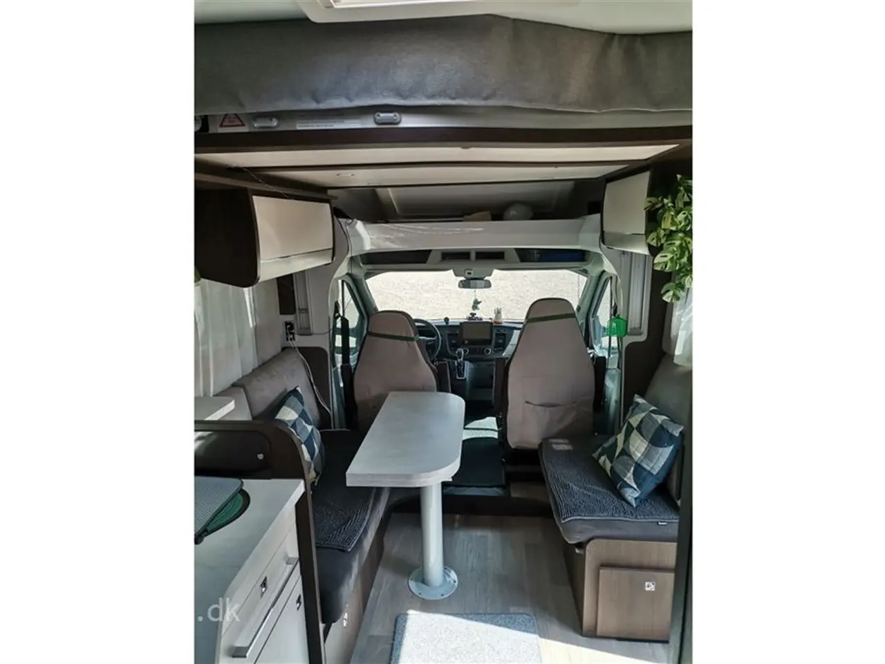 Billede 8 - 2023 - Benimar Tessoro 468