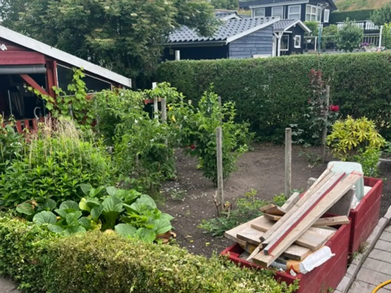 Billede 10 - havekoloni lod sælges i Nyborg