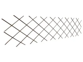 Pilehegn med espalier 5 stk. 180 x 60 cm