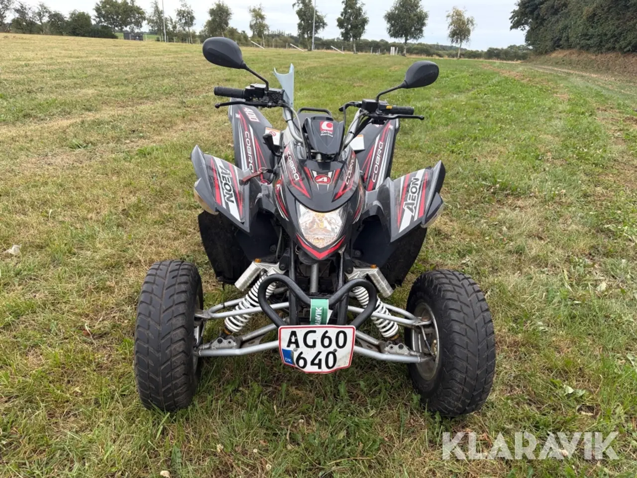 Billede 8 - ATV Aeon Cobra 400
