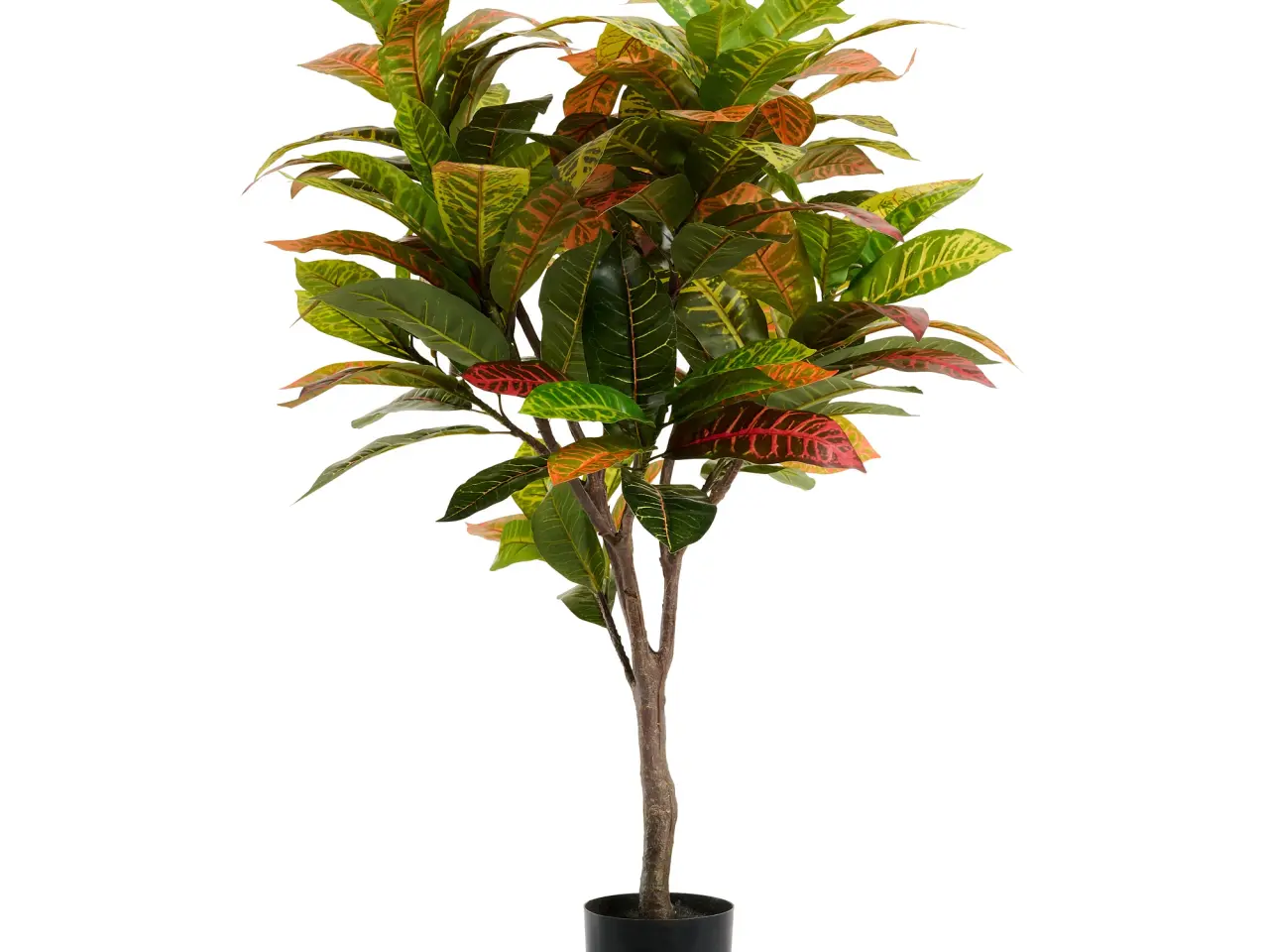 Billede 1 - Kunstig plante Croton 120 cm.