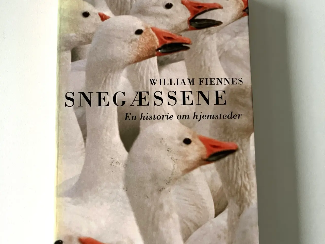 Billede 1 - Snegæssene - en historie om hjemsteder. Af William