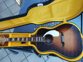 Fender kingman