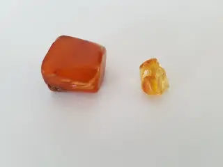 RAV