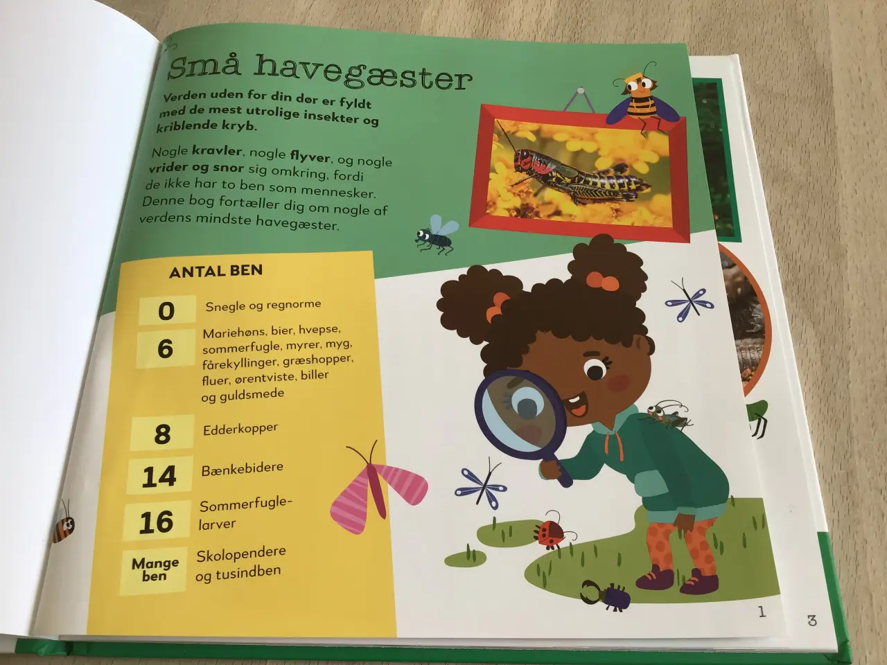 Billede 6 - Bog om kroppen, bog om krible krable, pr stk 35kr