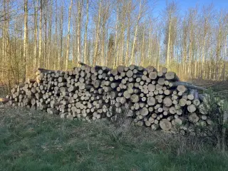 Brænde 3,0m i stak ved vej.