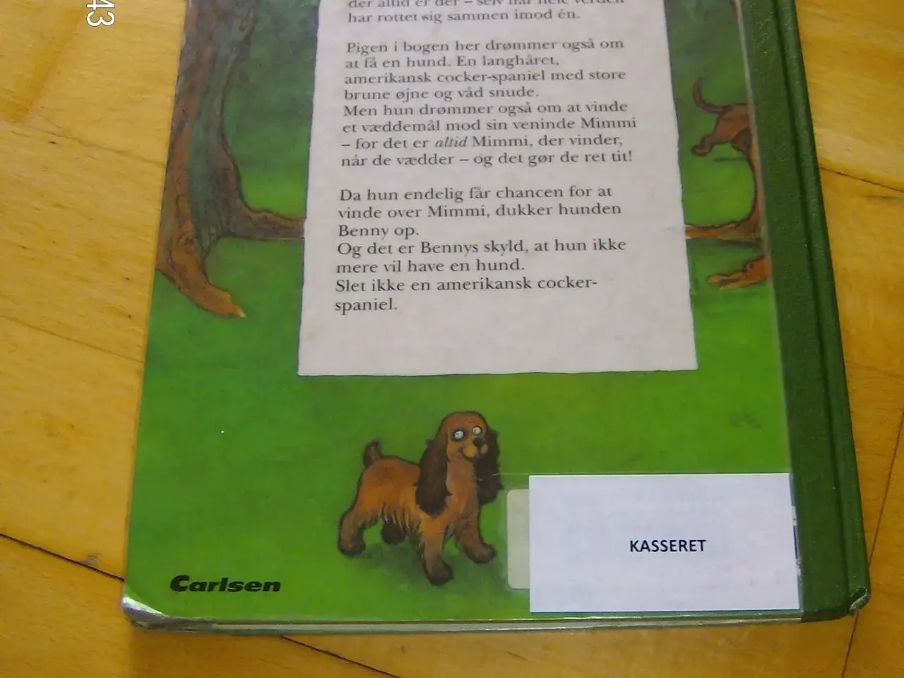 Billede 3 - Derfor vil jeg ikke have hund 