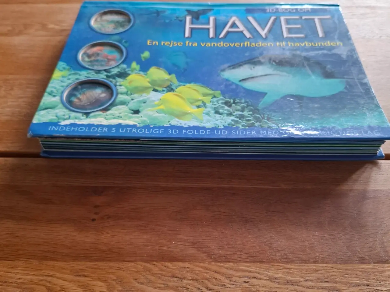 Billede 1 - Havet faktabog om livet i havet
