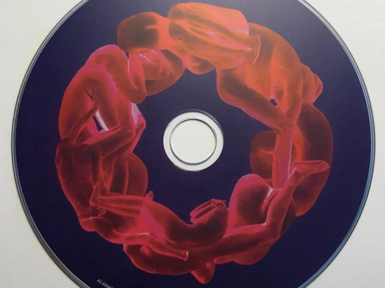 Billede 7 - The Rumour Said Fire – The Arrogant – CD