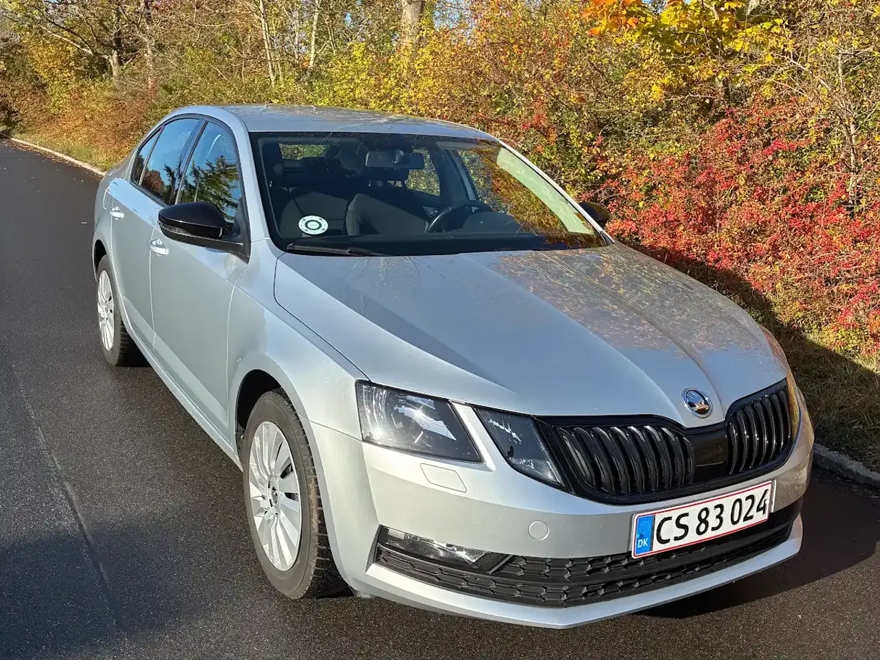 Billede 3 - Skoda Octavia 1,5 TSi 150 Style DSG