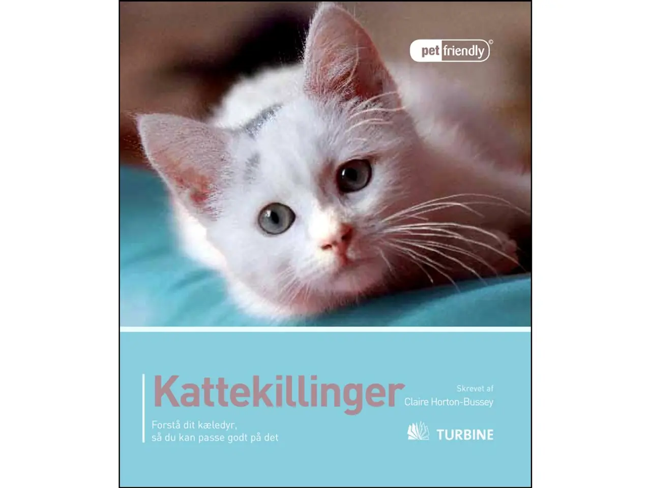 Billede 1 - Kattekillinger