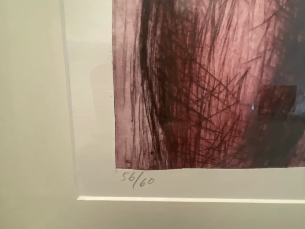 Billede 2 - Suzanne Nessim – signeret radering 56/60, 1995