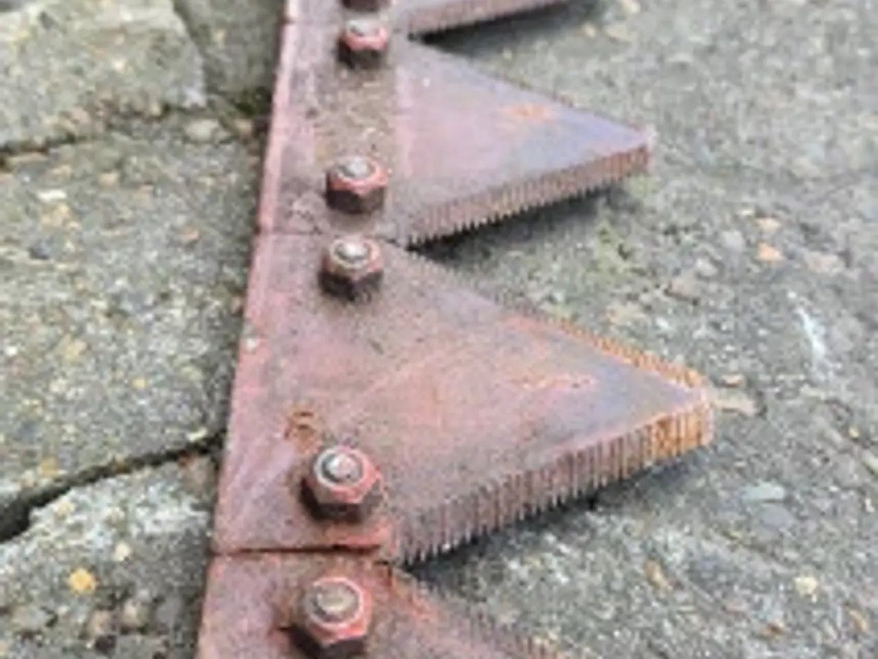 Billede 6 - Claas Knivassy Segment 0005234690