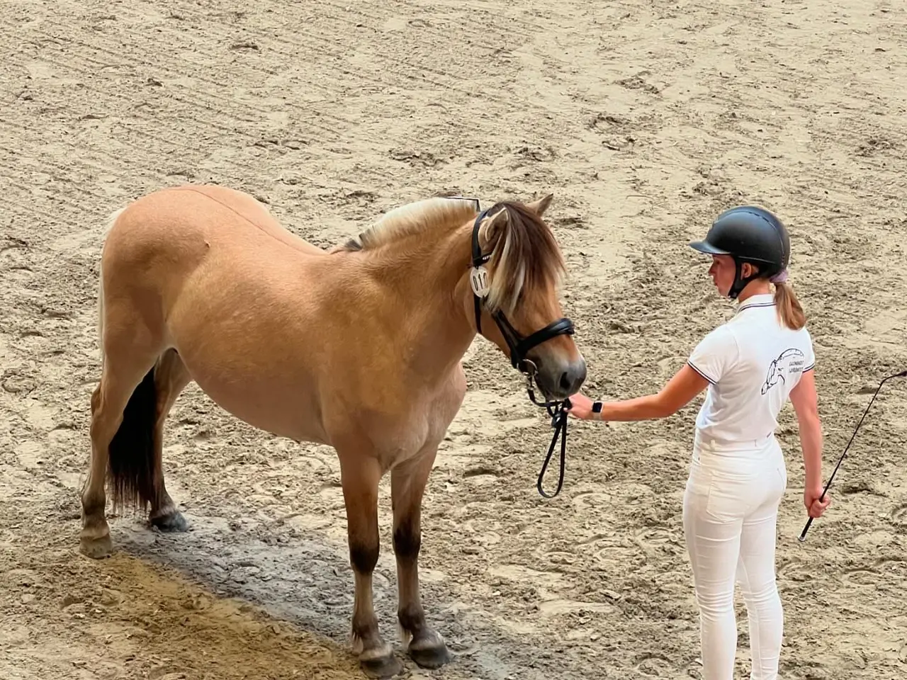 Billede 2 - Tilridening ridening massage kårring