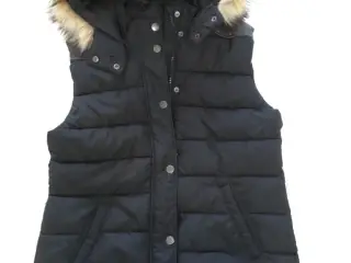 Dynevest