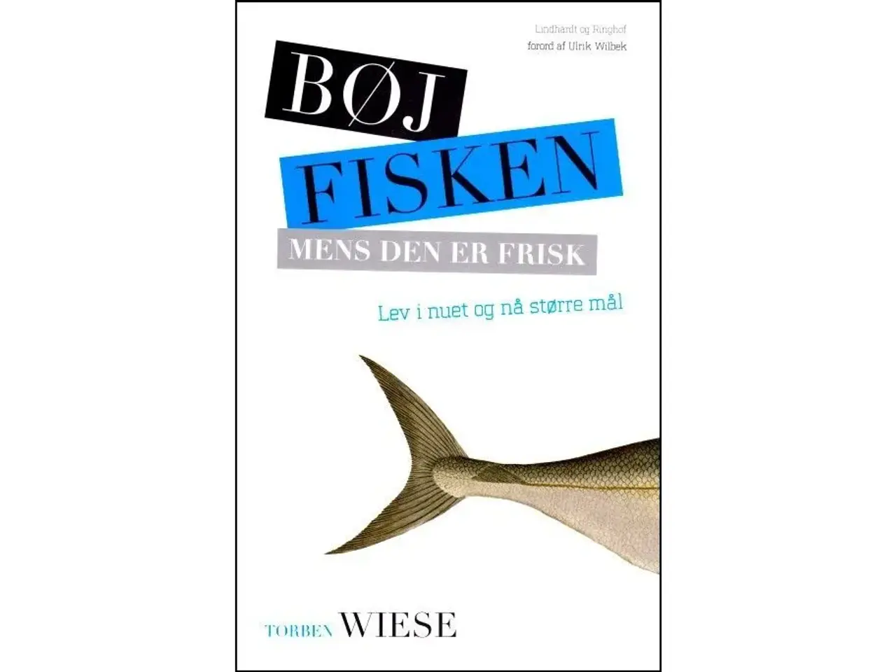 Billede 1 - Bøj Fisken mens den er frisk
