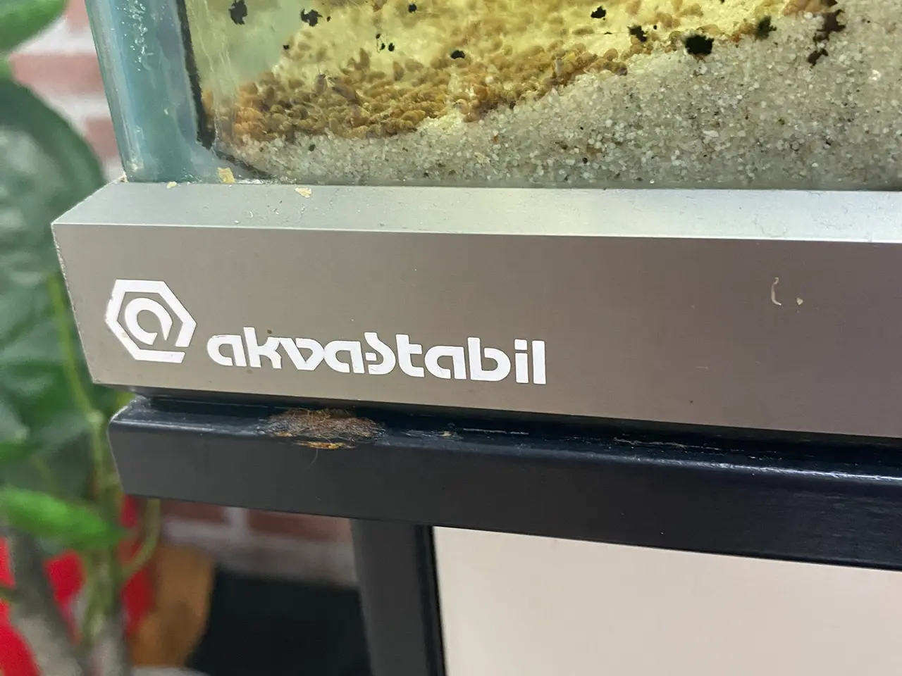 Billede 6 - STORT FLOT AKVARIUM - DANSK PRODUCERET