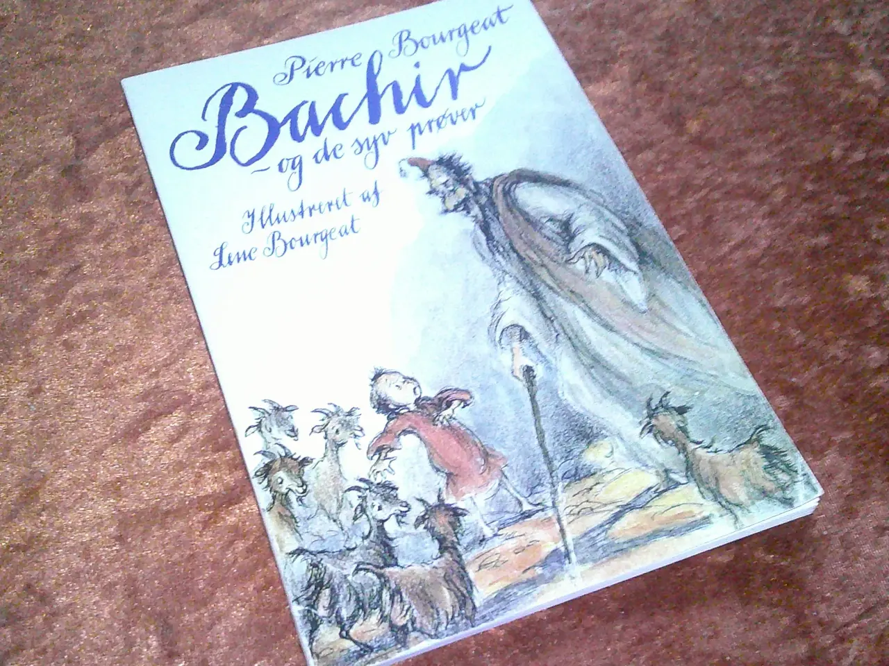 Billede 1 - Bachir - og de syv prøver, Pierre Bourgeat,