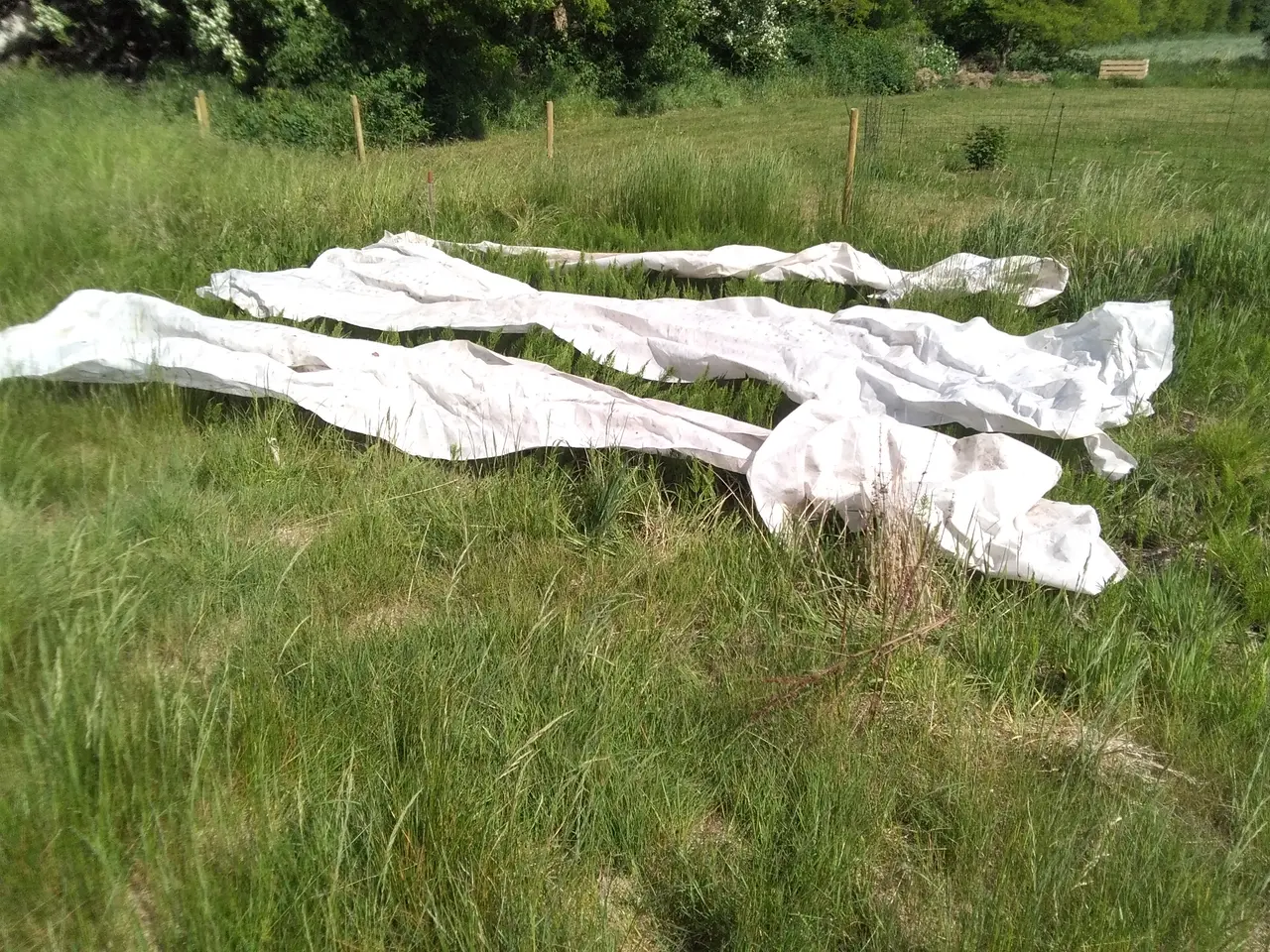 Billede 2 - 3 fiber duge Ca 1,5 X 5 m Brugte OK m små huller