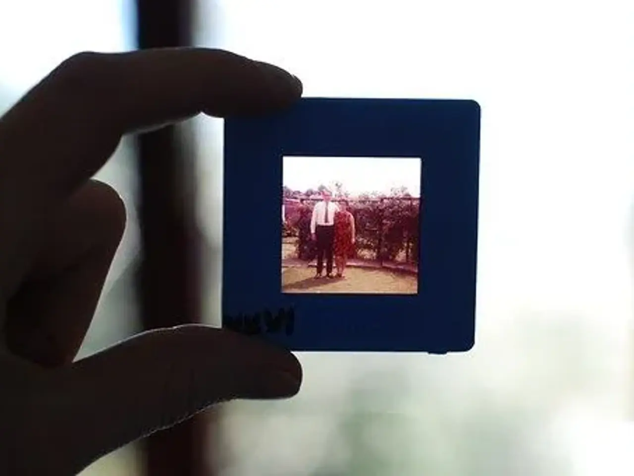 Billede 16 - Videobånd-Fotos-Lysbilleder+Smalfilm+"DØD" PC