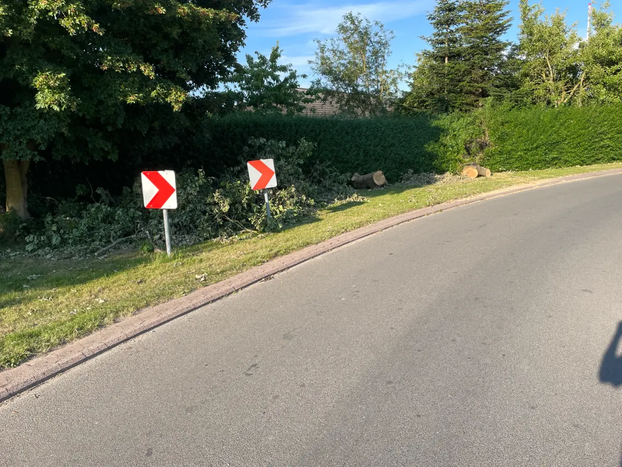 Billede 2 - Egetræbrænde fra nyfældet 40 årigt egetræ sælges. 