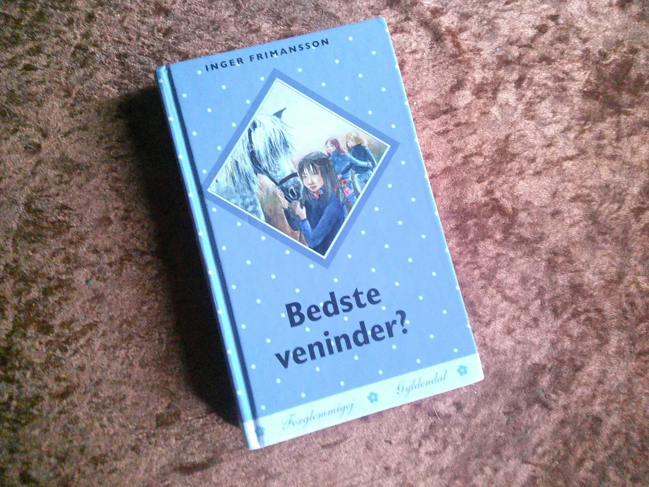 Billede 1 - Bedste veninder, Inger Frimansson