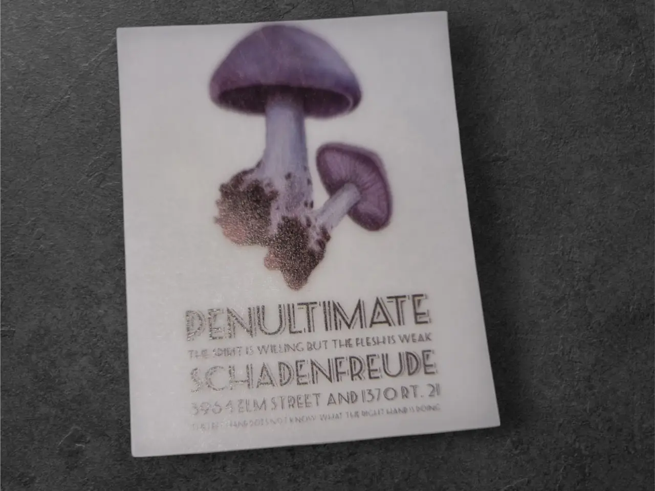 Billede 5 - Annonce 31 - Hobby