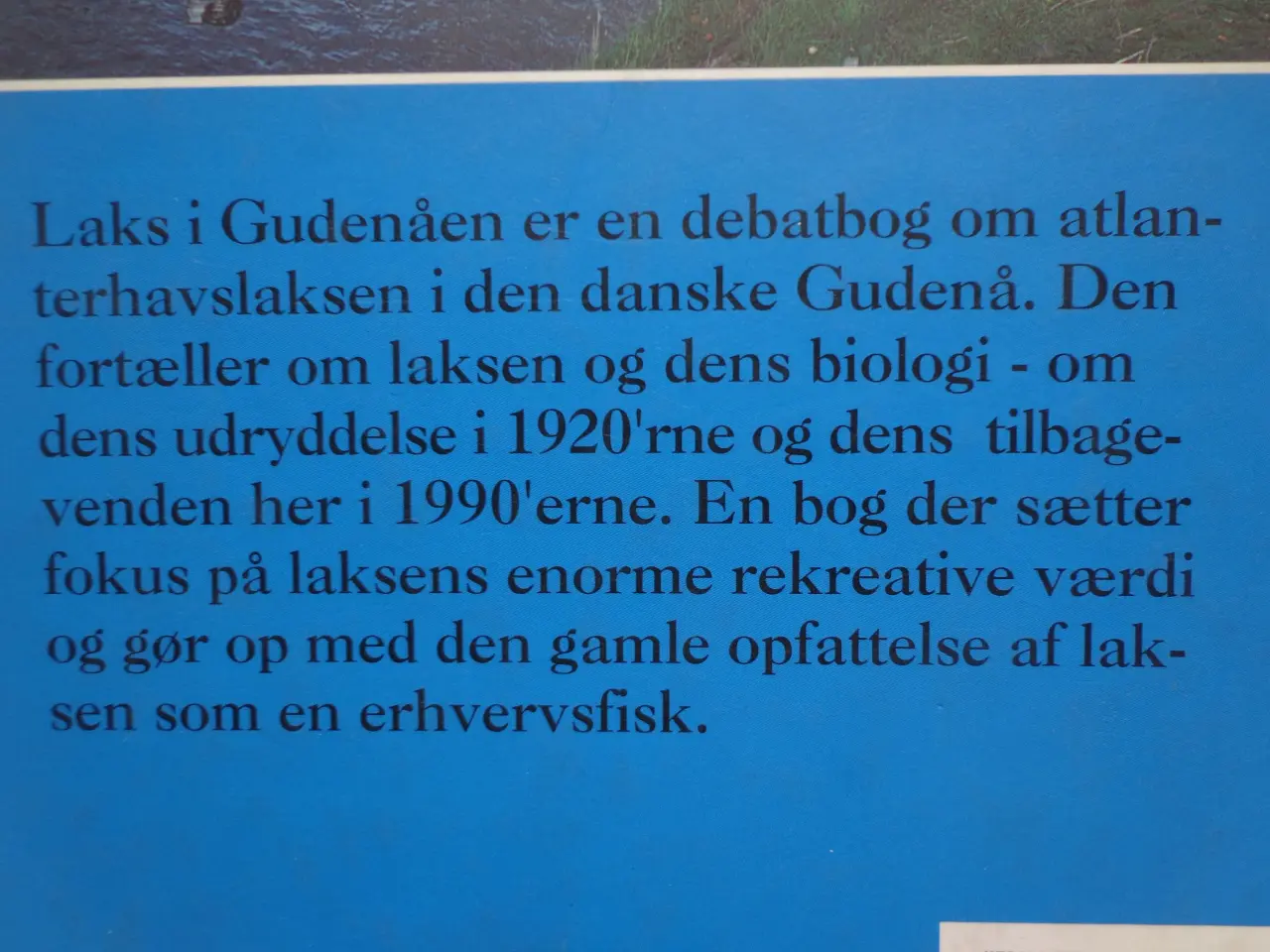 Billede 2 - Laks i Gudenåen  :