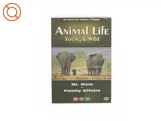 Animal life - Young & Wild (DVD)
