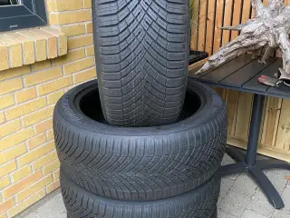 20” ID Buzz Helårs Continental 