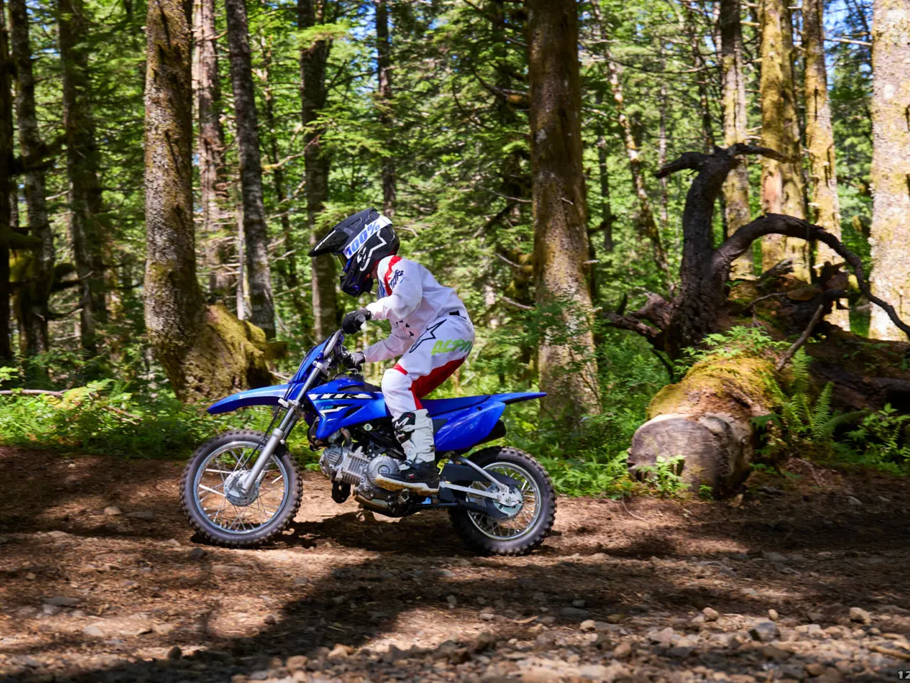 Billede 6 - Yamaha TT 110 R