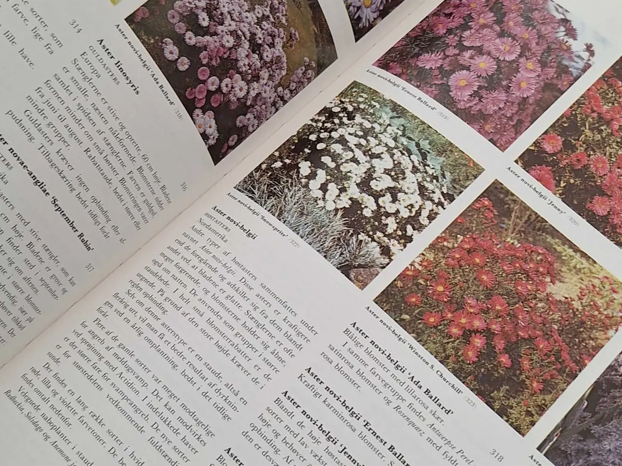 Billede 4 - Lademanns Blomsteratlas