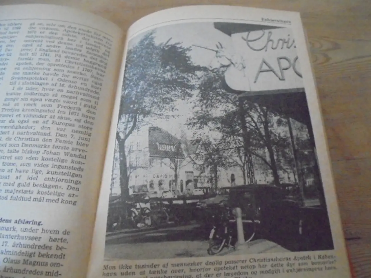 Billede 3 - Fabeldyr og sagnfolk – se fotos og omtale