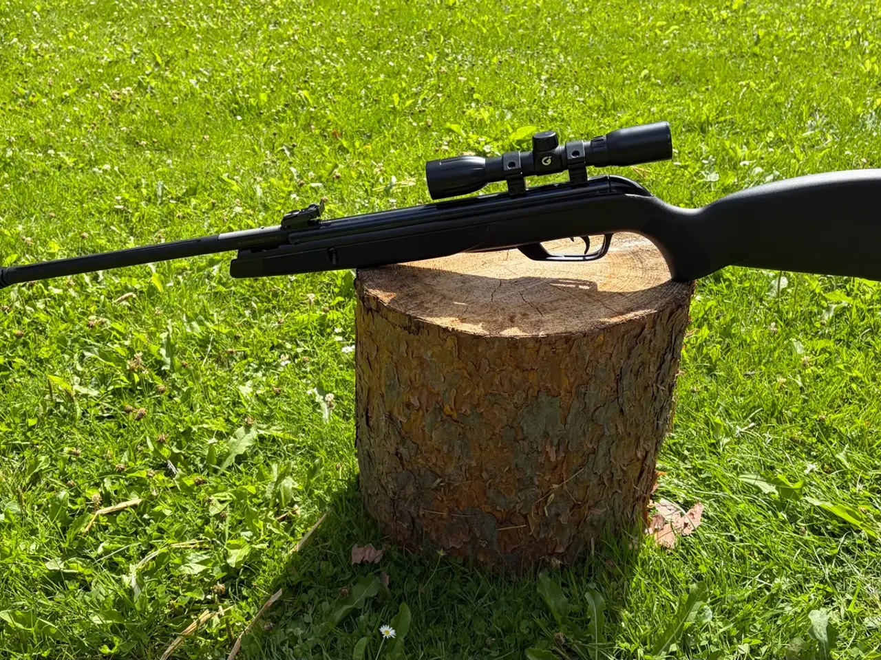 Billede 5 - Gamo - Black Bear Luftgevær