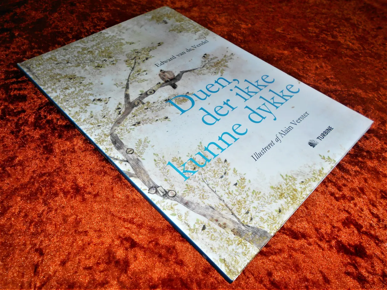 Billede 1 - Duen, der ikke kunne dykke, Edward Van de Vendel