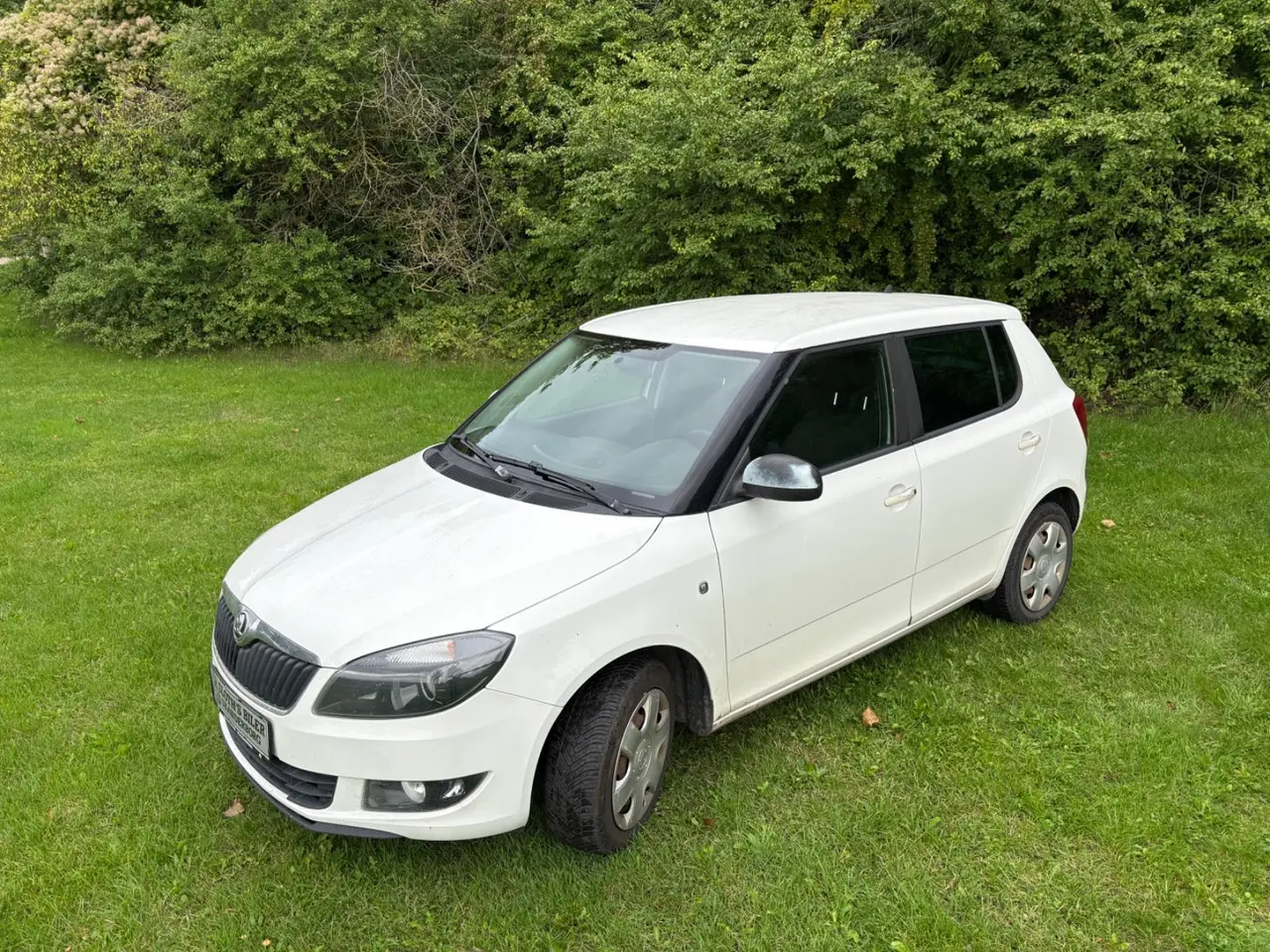 Billede 2 - Skoda Fabia 1,2 TSi 86 Tour de France