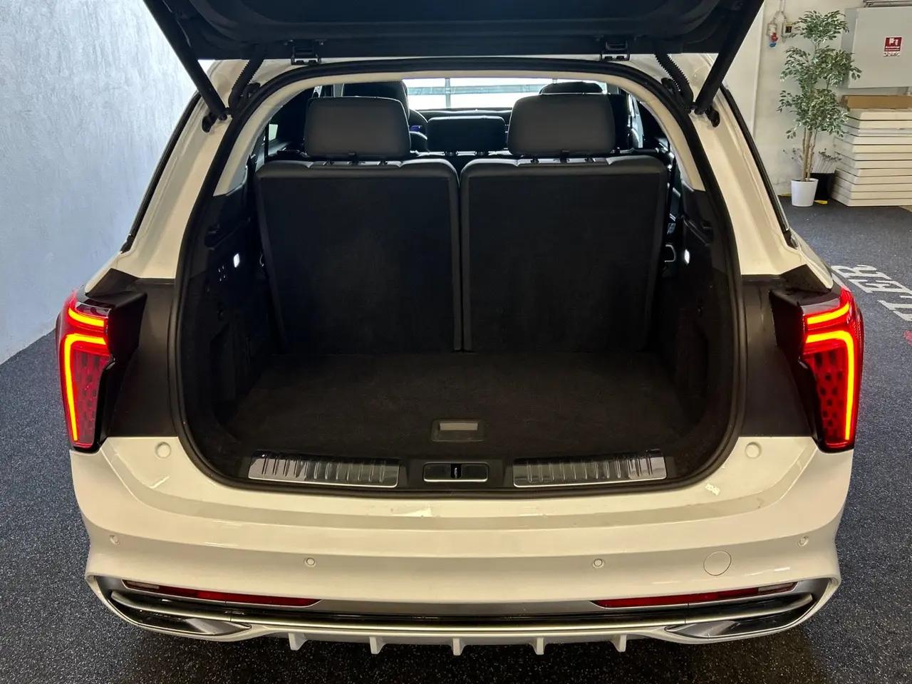 Billede 7 - Hongqi E-HS9 99 Premium