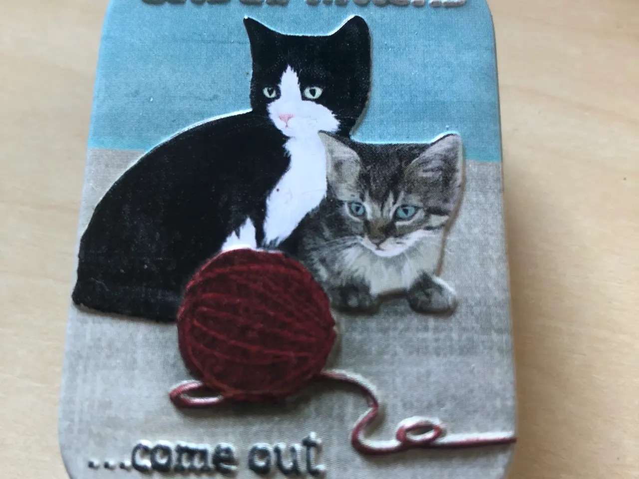 Billede 1 - Cats and Kittens dåse