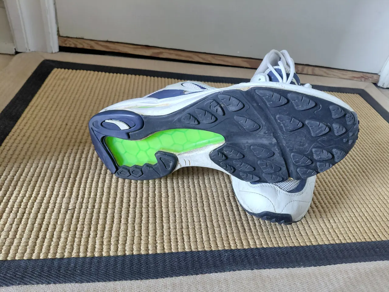 Billede 5 - Puma Trinomic sko.