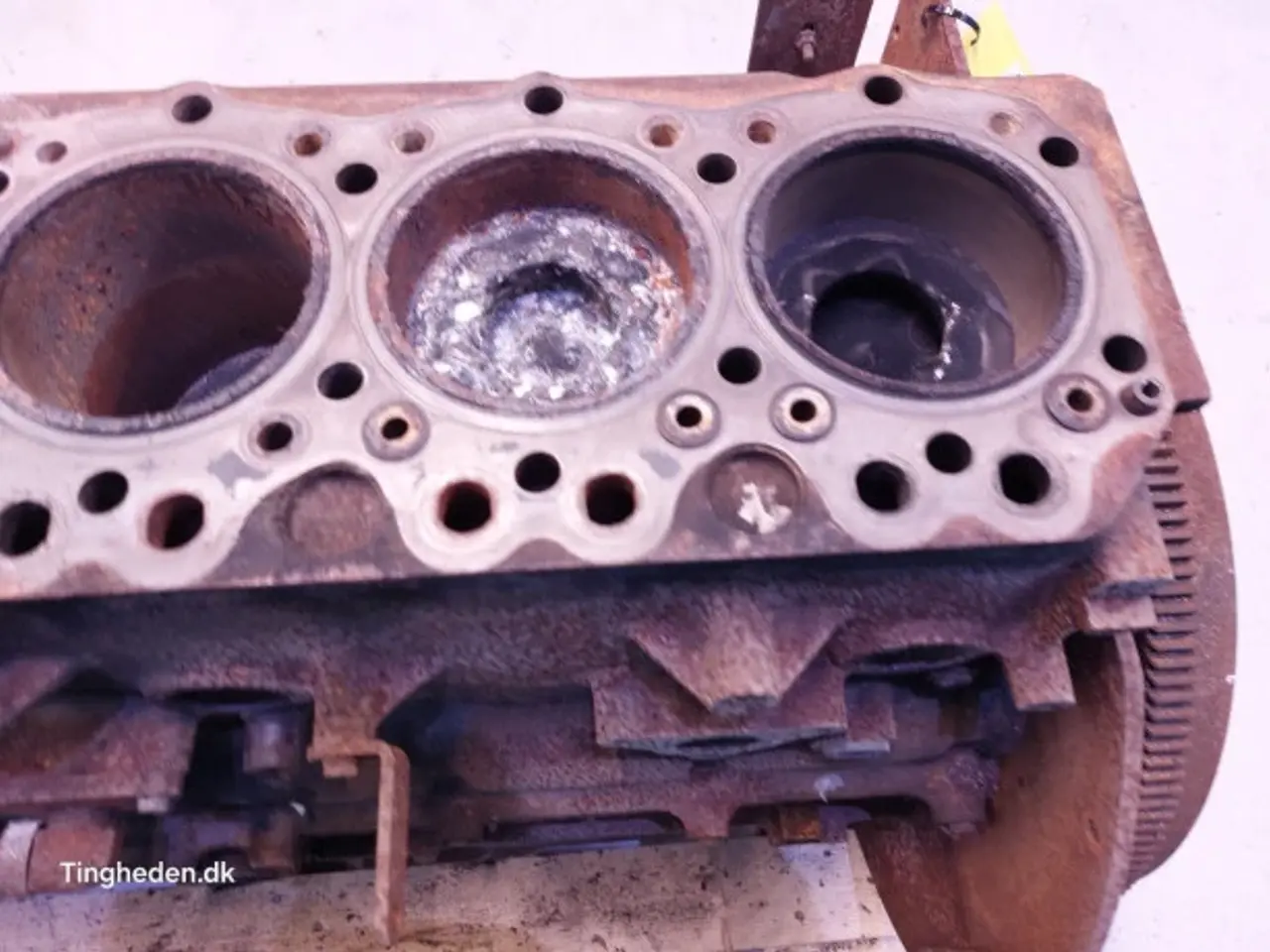 Billede 19 - Iveco 8460 SRI 10 Motor 61321549