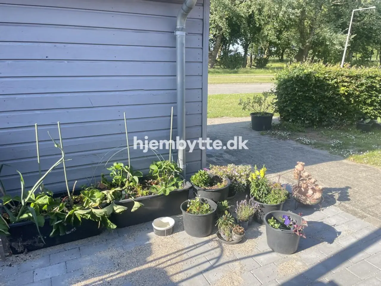 Billede 3 - Hjembytte - ViggoLundsVej