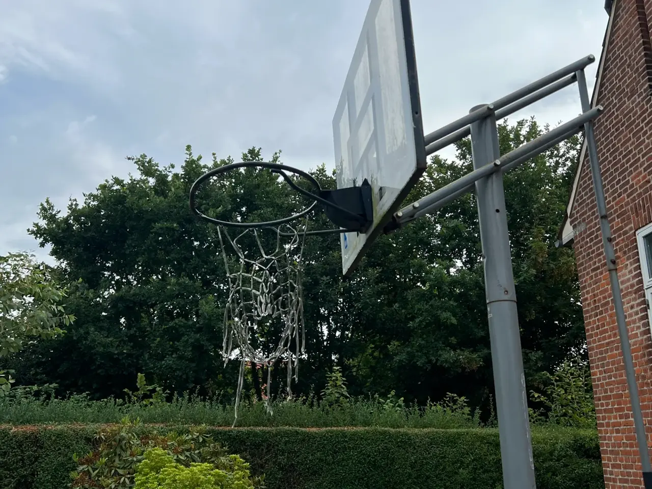 Billede 1 - Basketballkurv