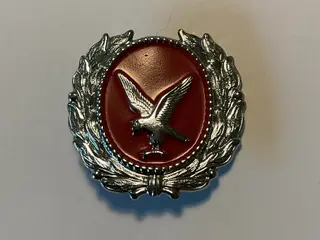 Flot Falck emblem