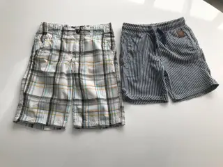 Shorts/knickers str 134