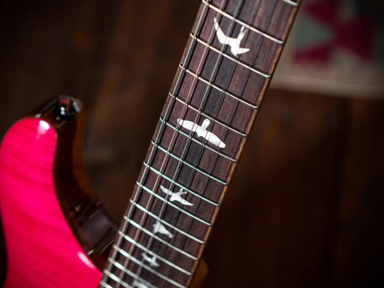 Billede 8 - PRS Custom SE