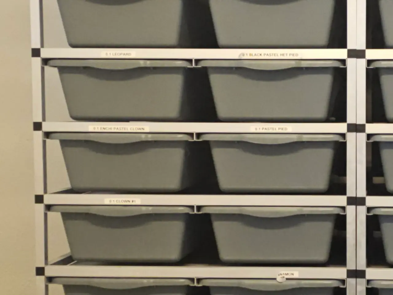 Billede 3 - Slange rack