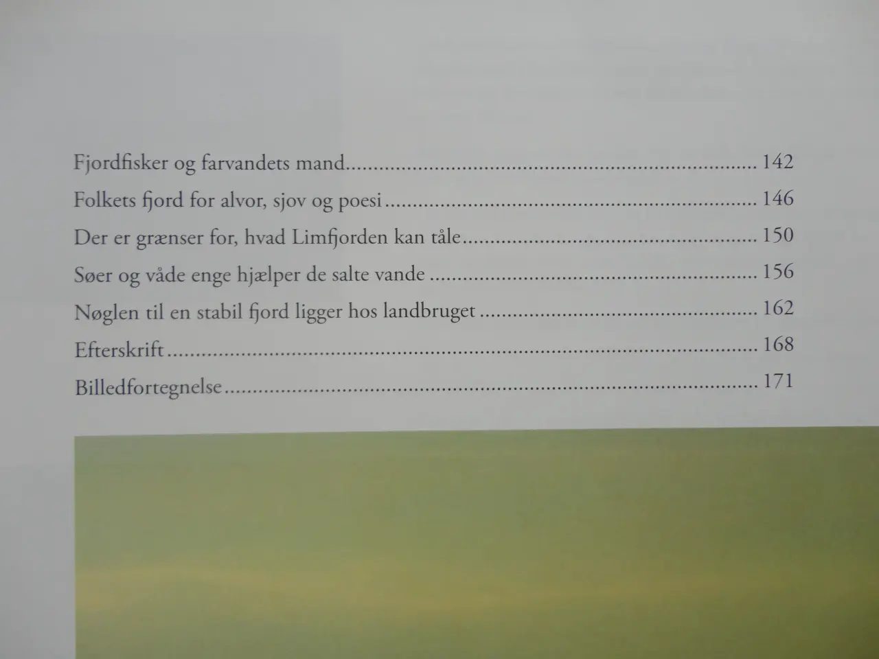 Billede 4 - L i m f j o  r d e n  :