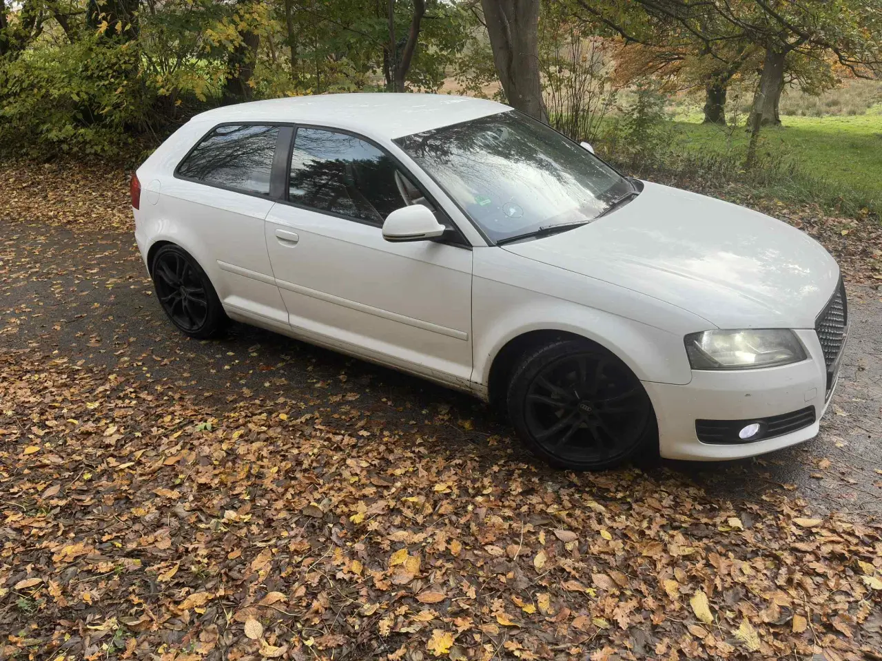 Billede 12 - Audi A3 8P Facelift ( Fuld Service bog )