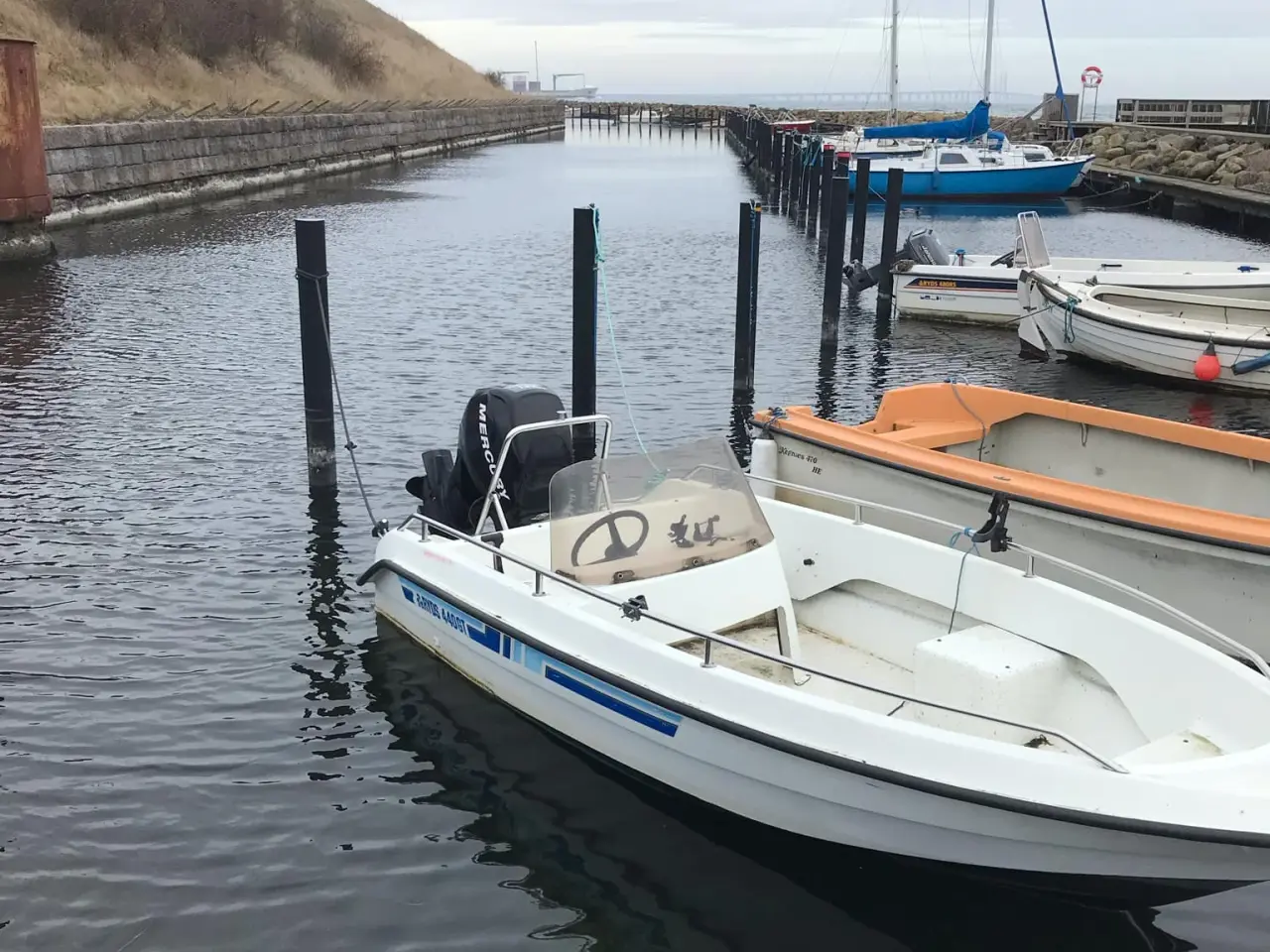 Billede 1 - Ryds 440GT inkl. Trailer